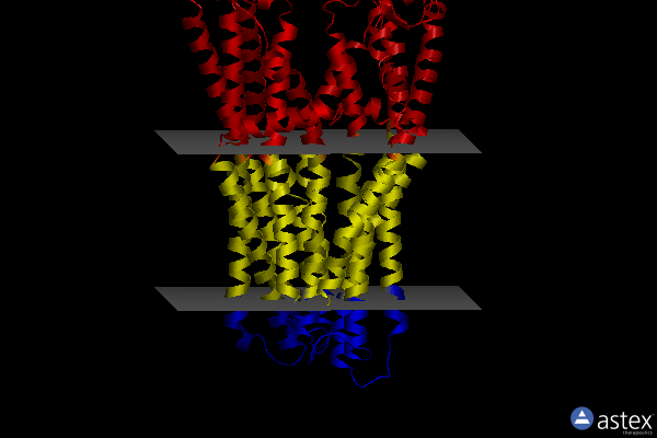 Membrane view of 7zde