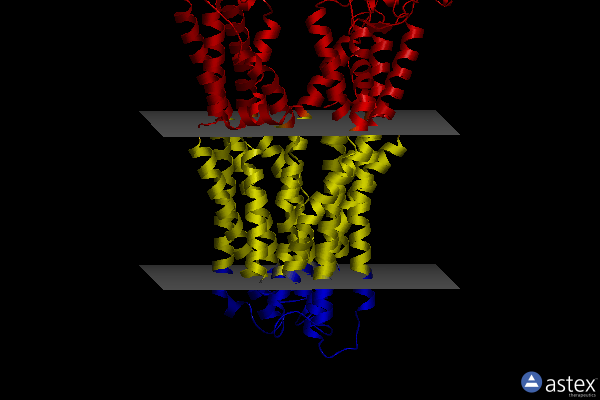 Membrane view of 7zdr