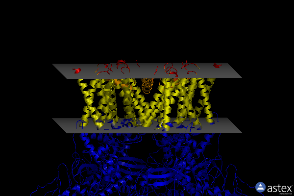 Membrane view of 7zjd
