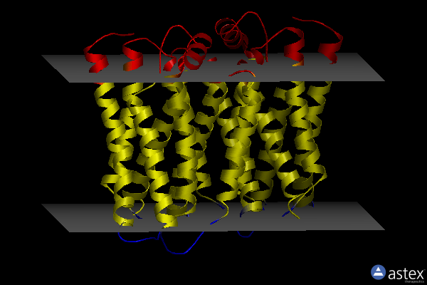 Membrane view of 7zkw