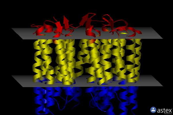 Membrane view of 7zmy