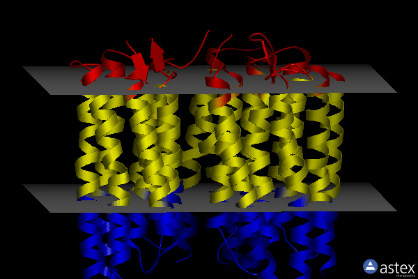 Membrane view of 7zn3