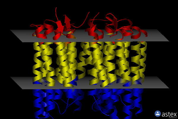 Membrane view of 7zn9