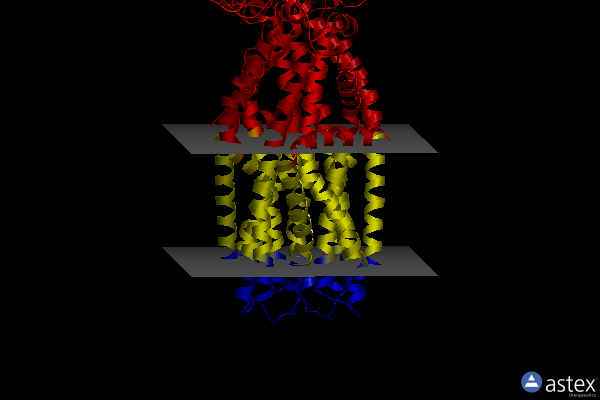 Membrane view of 7zo8
