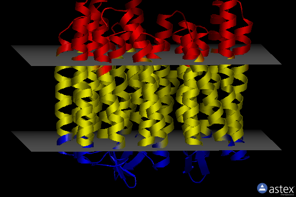Membrane view of 7zov