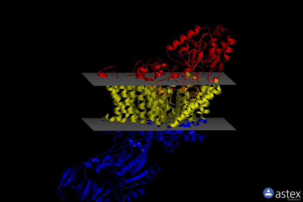 Membrane view of 7zrl