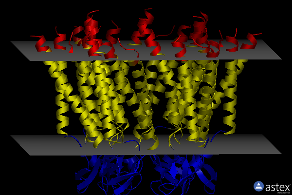 Membrane view of 7zxo