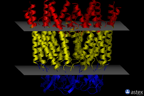 Membrane view of 7zxq