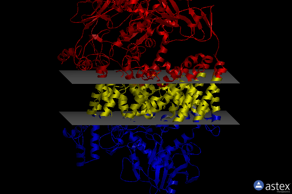 Membrane view of 8a1y