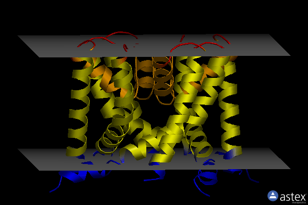 Membrane view of 8a7x