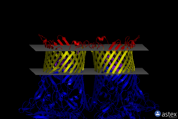 Membrane view of 8aa1