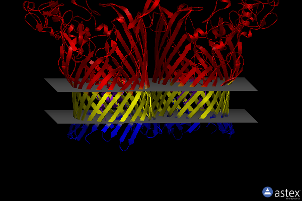Membrane view of 8aa4