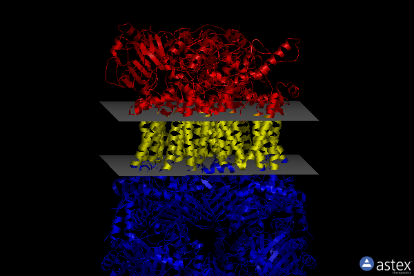 Membrane view of 8ab8