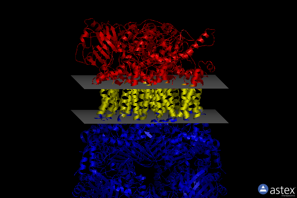 Membrane view of 8ab9