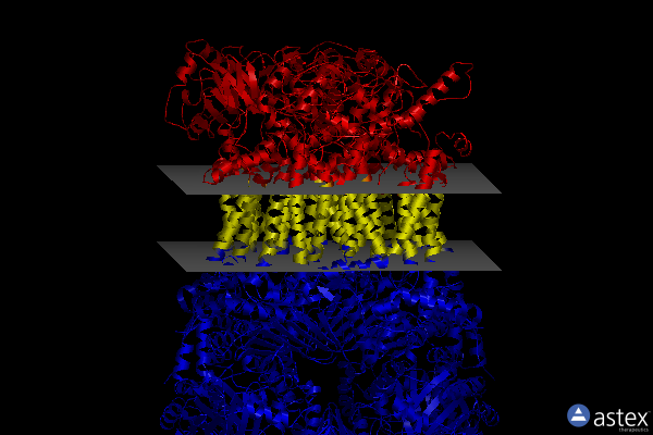 Membrane view of 8abe