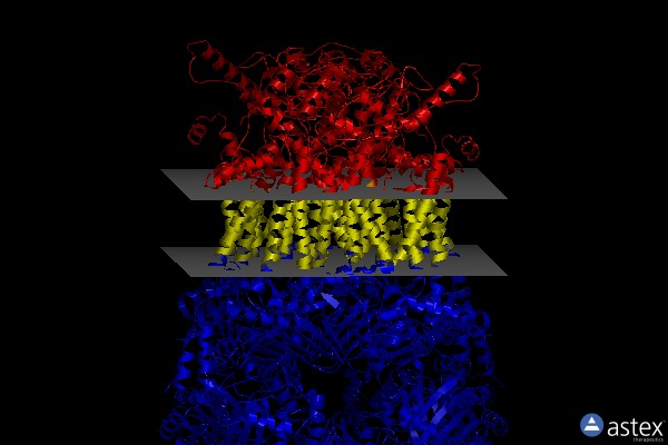 Membrane view of 8abl