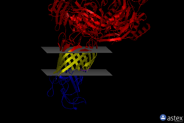 Membrane view of 8adi