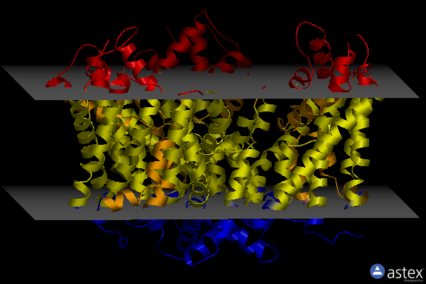 Membrane view of 8afa