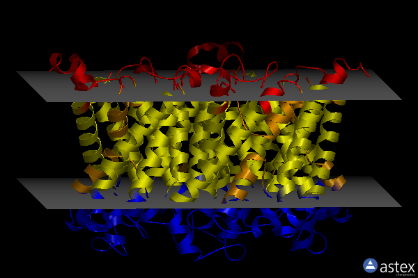 Membrane view of 8amx