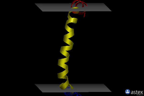 Membrane view of 8ar2