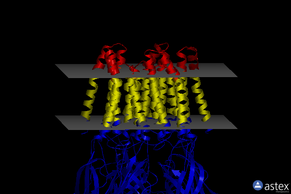 Membrane view of 8atg