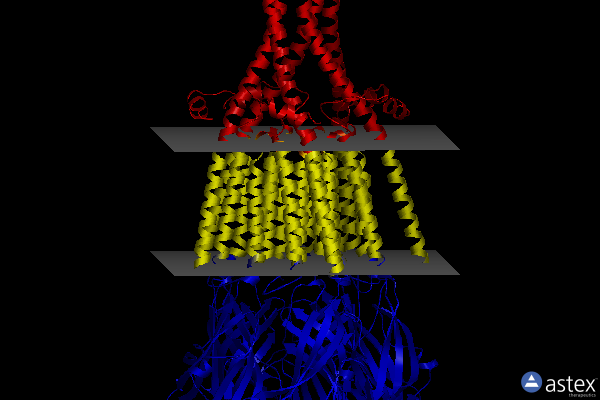 Membrane view of 8aw2