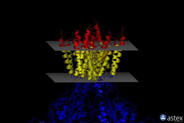Membrane view of 8ayl
