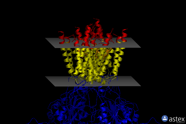 Membrane view of 8aym