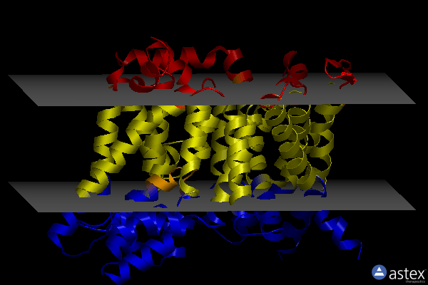 Membrane view of 8b01