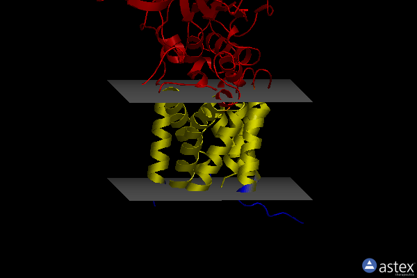 Membrane view of 8b0k