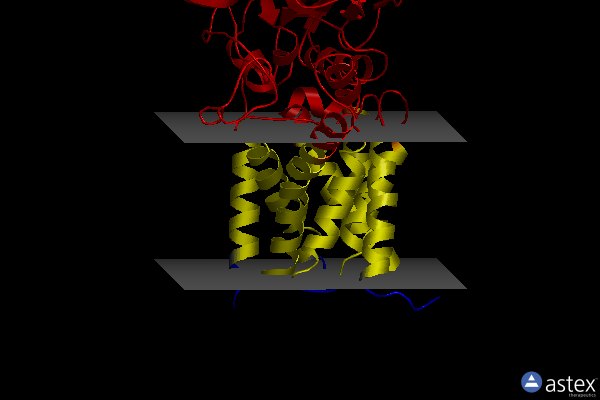 Membrane view of 8b0o