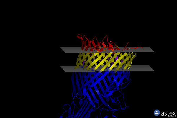Membrane view of 8b14