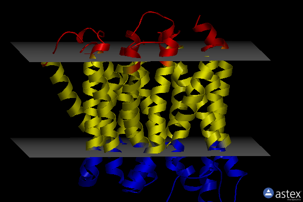 Membrane view of 8b19