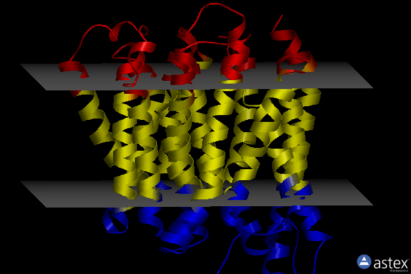 Membrane view of 8b1c