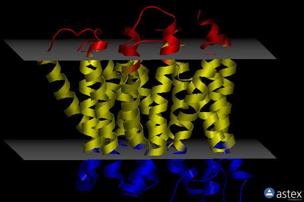 Membrane view of 8b1j
