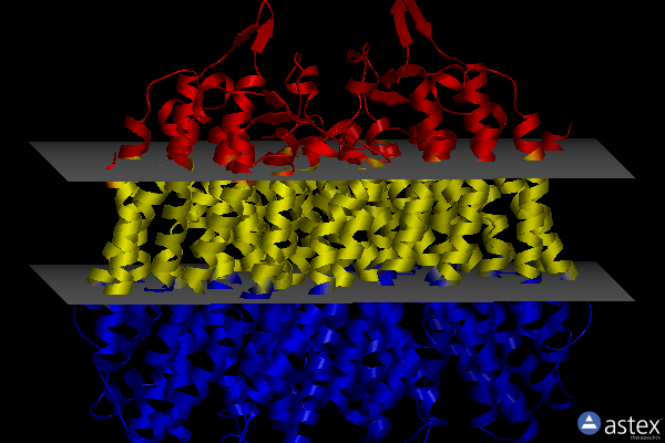 Membrane view of 8b21