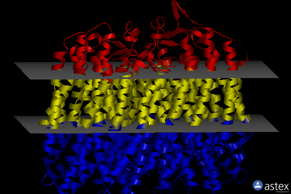 Membrane view of 8b23
