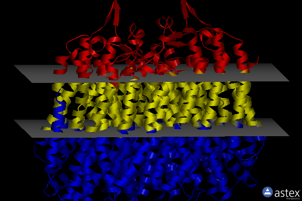 Membrane view of 8b24