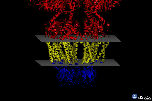 Membrane view of 8b40