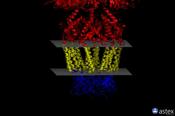 Membrane view of 8b42