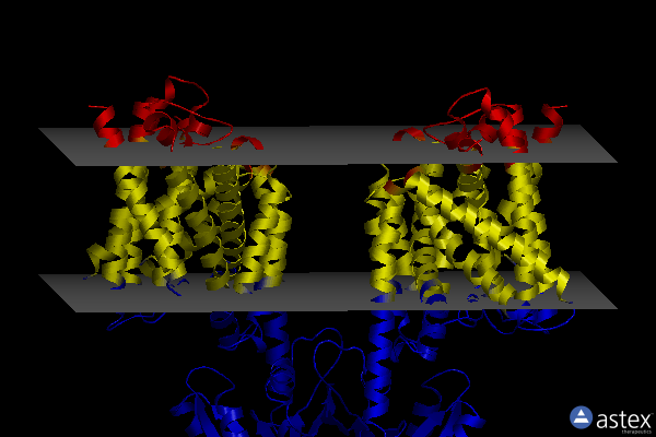 Membrane view of 8b71