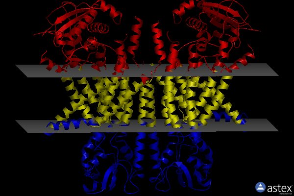 Membrane view of 8b8j