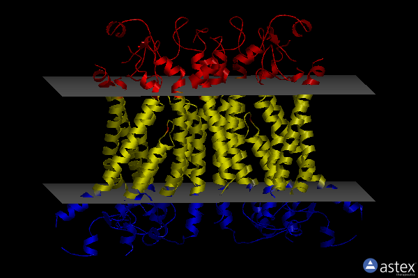 Membrane view of 8bc1