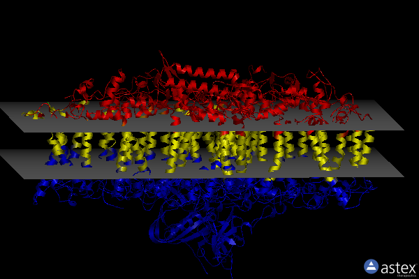 Membrane view of 8bcv