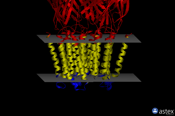 Membrane view of 8bhg