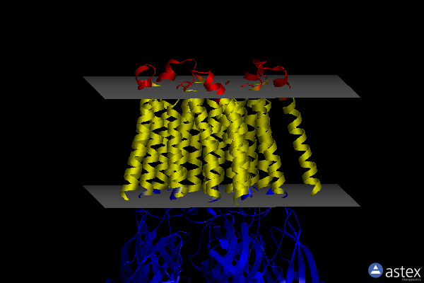 Membrane view of 8bho