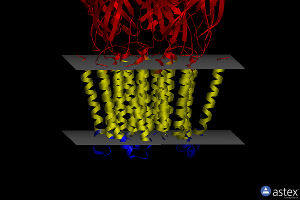 Membrane view of 8bhq