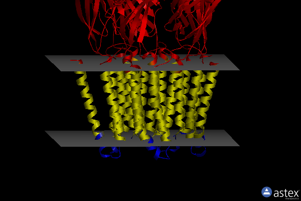 Membrane view of 8bhr
