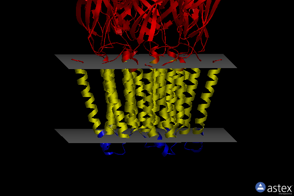 Membrane view of 8bhs