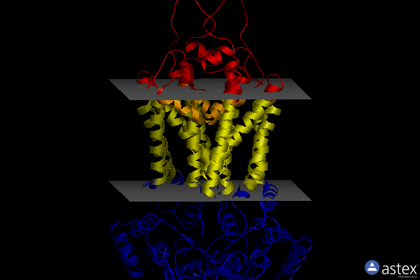 Membrane view of 8bht